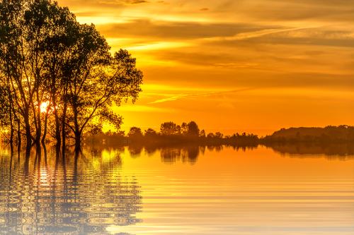 ​兰宝传感技术落地风电场景，国产替代向纵深推进